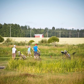 Loimijoki Golfin kentillä kisattiin perjantaina maanviljelijöiden SM-mestaruudesta. Lyöntivuorossa on Aila Nukari. Juuso Hulmi ja Reijo Vaha seuraavat vierestä.