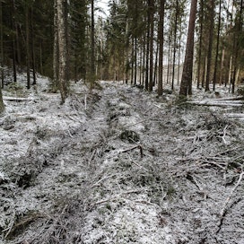 Metsähallitus esitteli turvemaiden korjuumenetelmiä Evolla vuonna 2016.