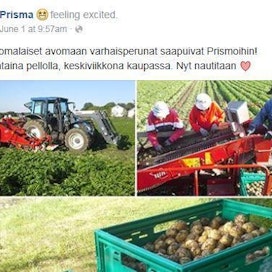 Prisman markkinointikampanjaan suostunutta viljelijää harmittaa, että ruotsalaisperunan tuonti jatkui toista viikkoa, vaikka kotimaista perunaa oli jo saatavilla.