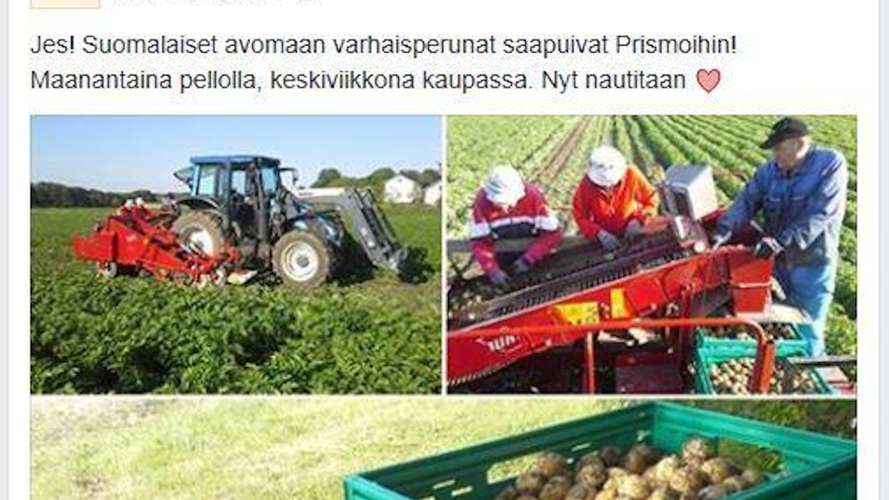 Prisman markkinointikampanjaan suostunutta viljelijää harmittaa, että ruotsalaisperunan tuonti jatkui toista viikkoa, vaikka kotimaista perunaa oli jo saatavilla.