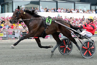 Kuvassa Elitloppet-karsinnan voittava Bold Eagle palasi Vincennesissä voitokkaasti.