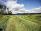 Maataloustuottajien keskusliittojen MTK:n ja SLC:n luonnonvarakeskus Lukelta tilaama selvitys maatalousalan hiilipäästöjen vähentämispoluista julkaistiin tänään keskiviikkona.