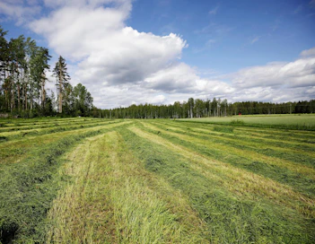 Maataloustuottajien keskusliittojen MTK:n ja SLC:n luonnonvarakeskus Lukelta tilaama selvitys maatalousalan hiilipäästöjen vähentämispoluista julkaistiin tänään keskiviikkona.