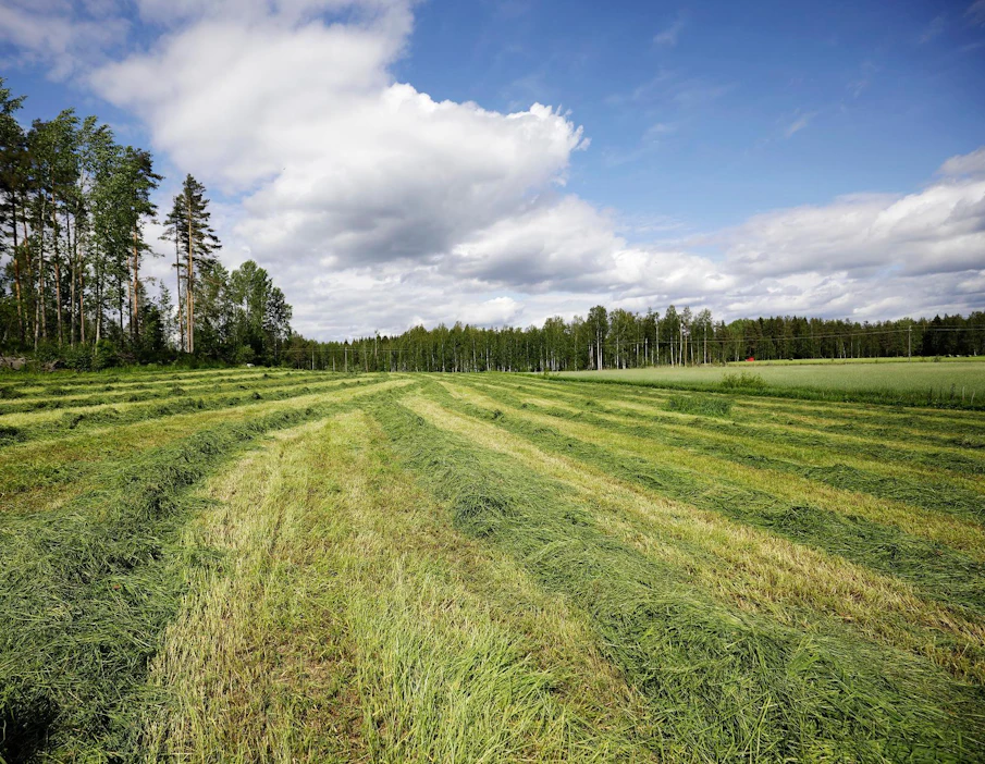 Maataloustuottajien keskusliittojen MTK:n ja SLC:n luonnonvarakeskus Lukelta tilaama selvitys maatalousalan hiilipäästöjen vähentämispoluista julkaistiin tänään keskiviikkona.