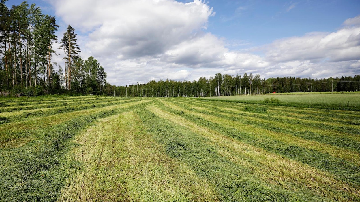 Maataloustuottajien keskusliittojen MTK:n ja SLC:n luonnonvarakeskus Lukelta tilaama selvitys maatalousalan hiilipäästöjen vähentämispoluista julkaistiin tänään keskiviikkona.