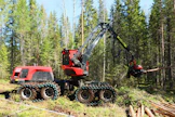 Nyt myös Komatsu Forest on tullut mukaan 8-pyöräisten harvestereiden valmistajien joukkoon. Ensimmäiset uudet Komatsu 931XC -mallit saapuvat Suomeen syksyllä. Komatsu on ensimmäinen metsäkonevalmistaja, joka on toteuttanut sivusuunnassakin keinuvan teliakselin koneissaan. 931XC takarunko on hieman pidempi kuin 6-pyöräisessä versiossa, jotta koneen kääntökulma on sama ja ketteryys vastaa sitä.