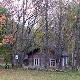 Turulan tila sijaitsee Kolin kansallispuiston pohjoisosassa.