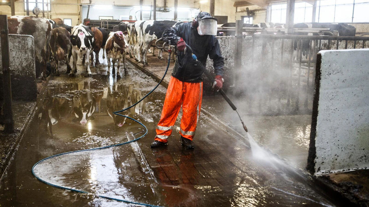Salmonellan leviämistä estetään esimerkiksi puhdistamalla ja desinfioimalla juomakuppeja, ruokintapöytää ja kulkureittejä.