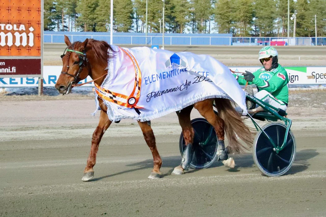 Lissun Eerikki jatkoi voittojen tiellä myös Kaustisen Pelimanni-ajossa. Rattailla on hevosen vakiohjastaja Ari Moilanen.