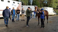 Viime syksyn huutokaupassa Ypäjän suuren maneesin halli oli täysi. Ostajat pääsevät tutustumaan varsoihin tänäkin vuonna koko iltapäivän ajan. Myynti alkaa kello 18.