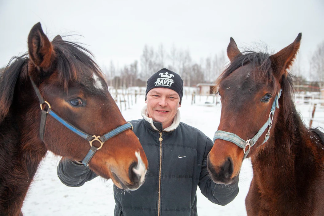 Niko Jokela pitää varsojen kanssa työskentelystä. Seurana orivarsat Sundsvik Al Buraq (vas.) ja kotikasvatti Careless Guy.