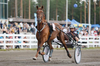 Majestic Man ja toinen kasvattajansa sekä osaomistajansa Taneli Säde. Säde omistaa ruunan yhdessä kumppaninsa Jonna Irrin kanssa, joka vaikuttaa tällä hetkellä siis hevosen kanssa Ranskassa.
