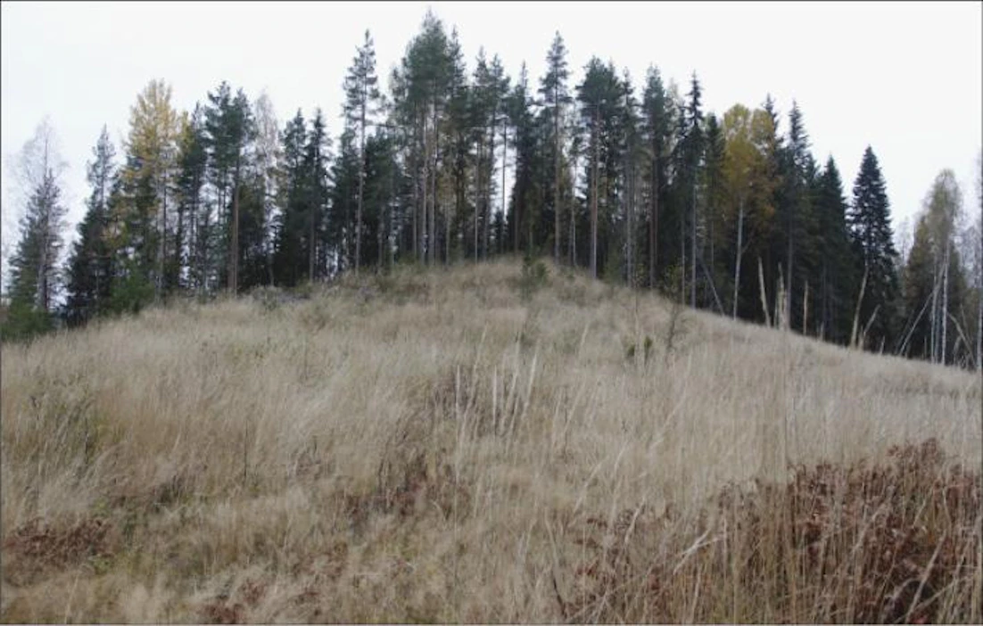Perinteiset hakkuutavat ovat säilyttäneet asemansa. Metsälain muutoksen jälkeen alle 0,3 hehtaarin pienaukkojaei tarvitse uudistaa. Jaana Kankaanpää