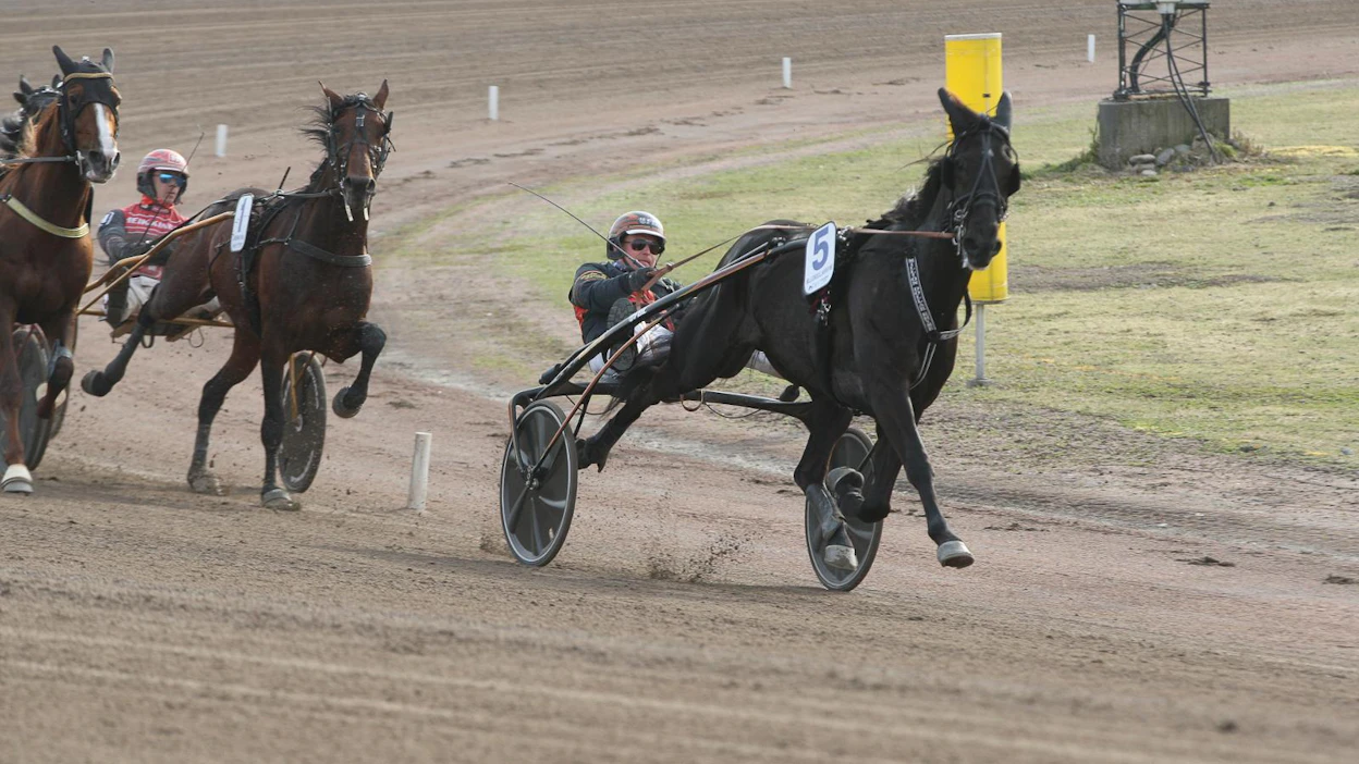 Kuvan Finlandia-ajossa huimaa tahtia keulapaikalla pullannut Milliondollarrhyme sai kutsun Elitloppettiin.