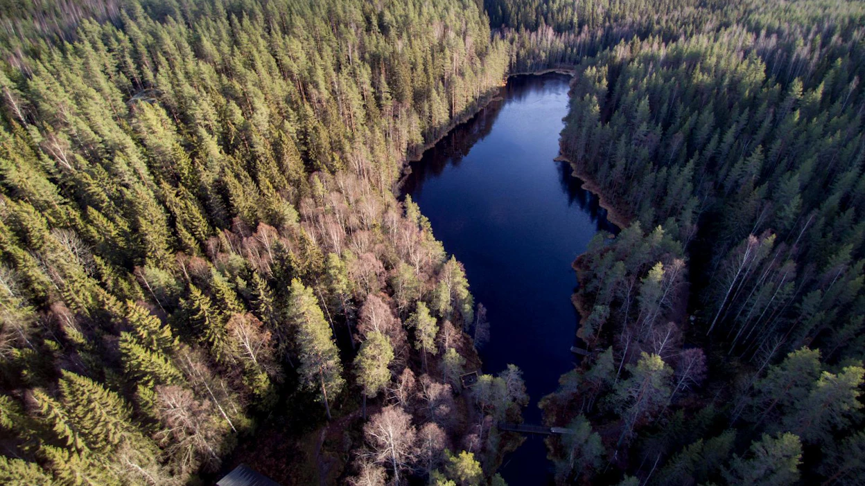 Metsähallituksen luontopalvelujohtajan tehtävänä on muun muassa huolehtia luonnonsuojelualueverkoston hoidosta ja käytöstä sekä virkistyskäyttöpalveluista. Kuva on Isojärven kansallispuistosta Kuhmoisista Keski-Suomesta.