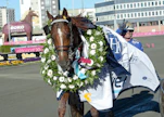 Prix d'Amerique -hevonen ja  ME-ravuri Harper Hanoverin lähdöstä 2020 (kuvassa) Moni Viking on omistaja-valmentaja-kasvattajansa Jan Lyngin ja tietenkin valmentajamestari Jomar Blekkanin ohella Leangenin viime vuosien suuria nimiä.