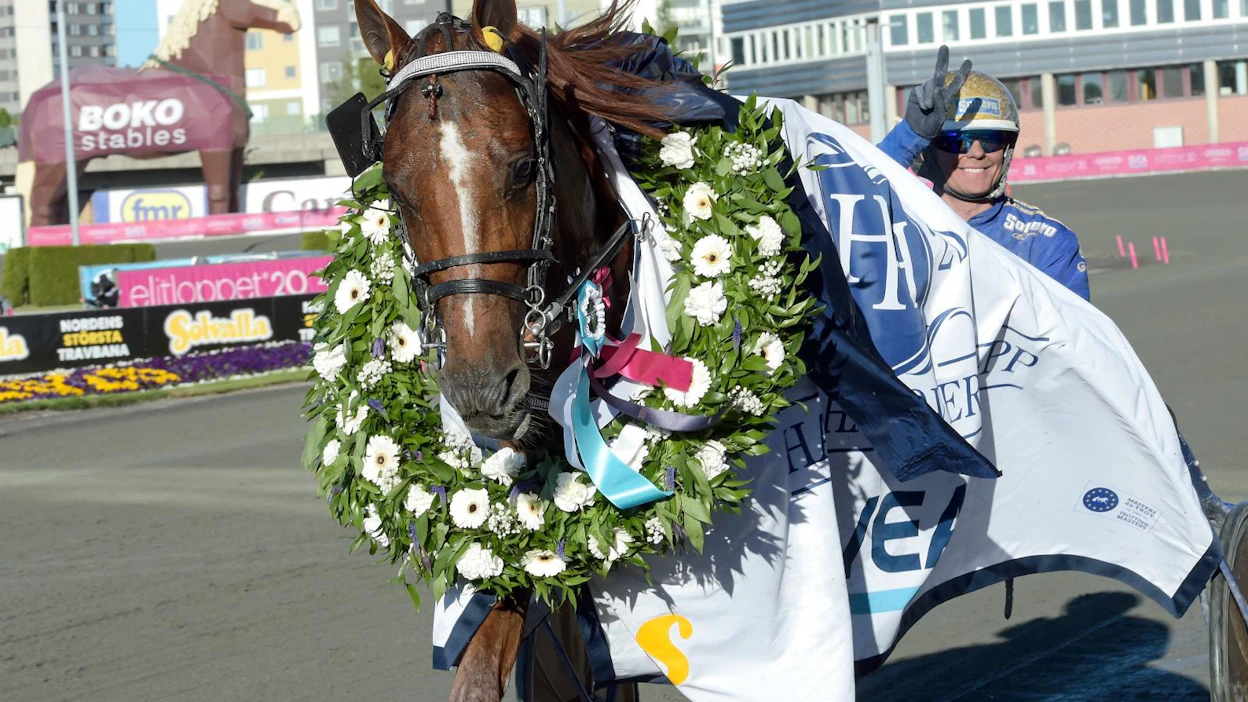 Prix d'Amerique -hevonen ja ME-ravuri Harper Hanoverin lähdöstä 2020 (kuvassa) Moni Viking on omistaja-valmentaja-kasvattajansa Jan Lyngin ja tietenkin valmentajamestari Jomar Blekkanin ohella Leangenin viime vuosien suuria nimiä.
