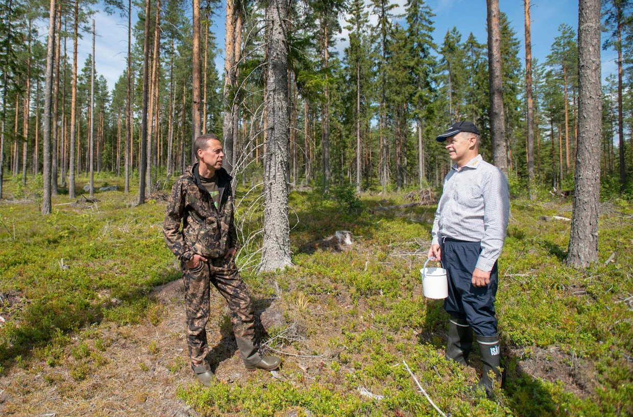 Elovainion mökkinaapuri Tapani Smolander (oik.) marjastaa mielellään Muroleen yhteismetsän mailla.