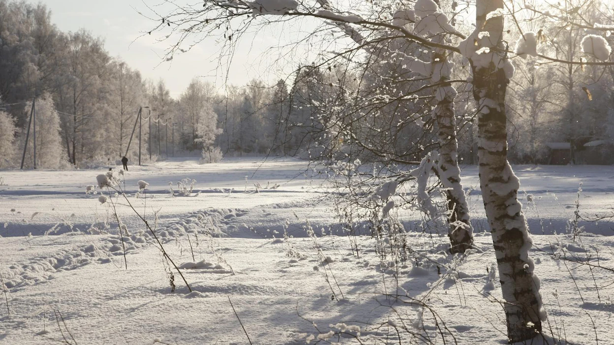 Kesästä otetaan kaikki irti, että niin ihmiset kuin elikotkin säilyisivät hengissä talven yli. Talvella on eri rytmi.