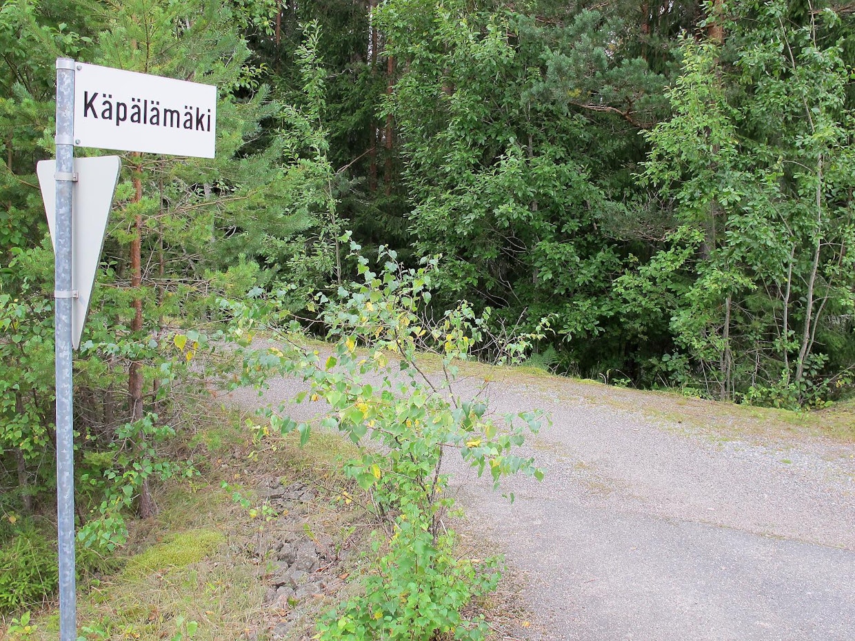 Tienpitäjällä on tietyin edellytyksin oikeus poistaa näkemää haittaavaa luonnonvaraista kasvillisuutta tien suoja- ja näkemäalueelta.