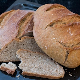 Tutkijat arvelevat, että taito tehdä leipää oli vielä yli 14 000 vuotta sitten tuskin kovinkaan yleinen taito. Kuvan leipä ei liity juttuun.