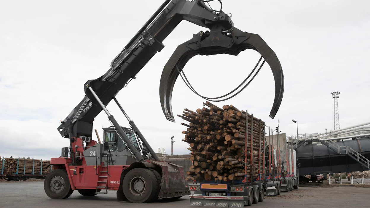 Metsä Group laskeskelee parhaillaan, riittävätkö Pohjois-Suomen puut Kemiin rakennettavalle uudelle biotuotetehtaalle.