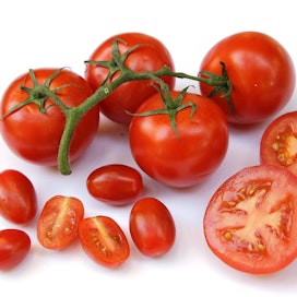 Kiistanalainen patenttiasia liittyy muun muassa vähävetiseen tomaattiin. Kuvan tomaatit eivät liity kiistaan.