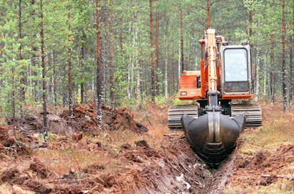 Kasvupaikan ja puuston on täytettävä tietyt vaatimukset, jotta kunnostus­ojitushank­keelle saa Kemera-­tukea.