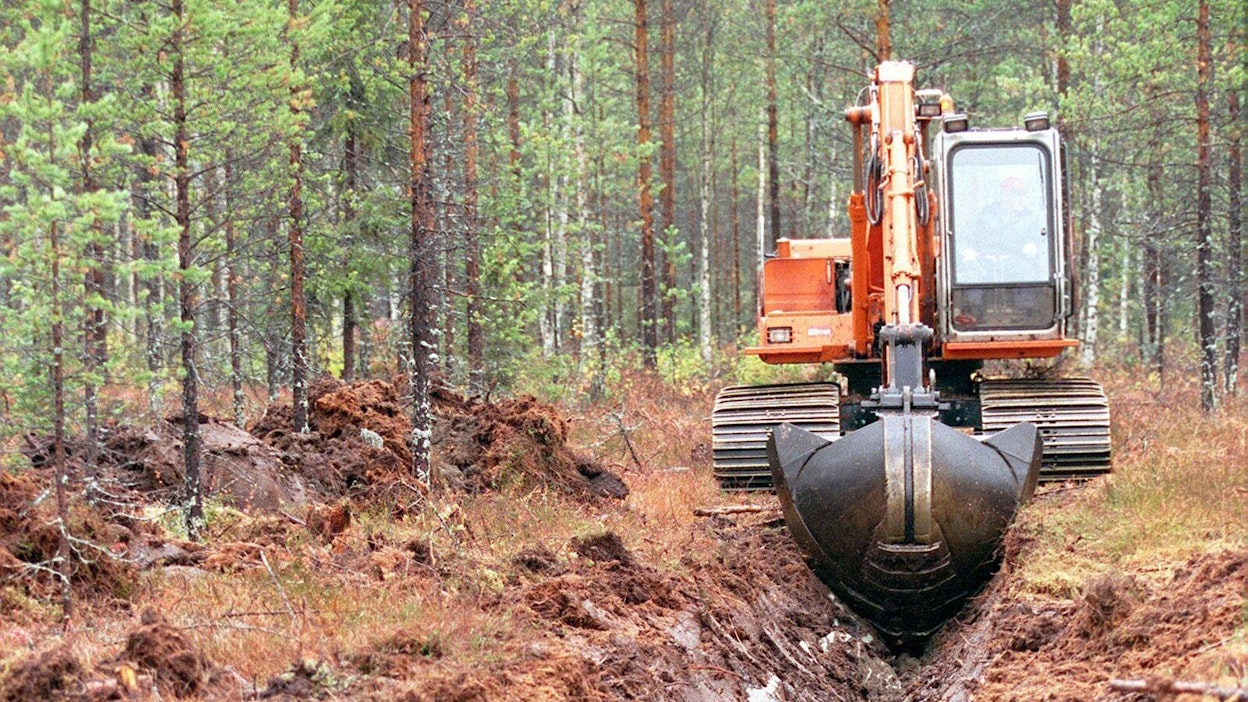 Kasvupaikan ja puuston on täytettävä tietyt vaatimukset, jotta kunnostusojitushankkeelle saa Kemera-tukea.
