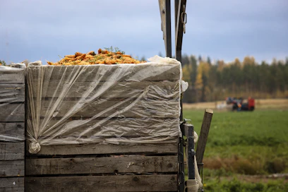 Ravinto-, puolustus- terveys-, sosiaaliturva kuuluvat perusturvaan. Vasta arvovalintojen jälkeen, jos on varaa, tulevat huvit ja hullutukset.