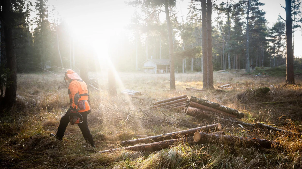Neljä vuotta sitten maa- ja metsätilan sukupolvenvaihdoksen päätökseen saattanut perhe koki ikävän yllätyksen viime keväänä, kun isoisä sairastui. Kuvituskuva.