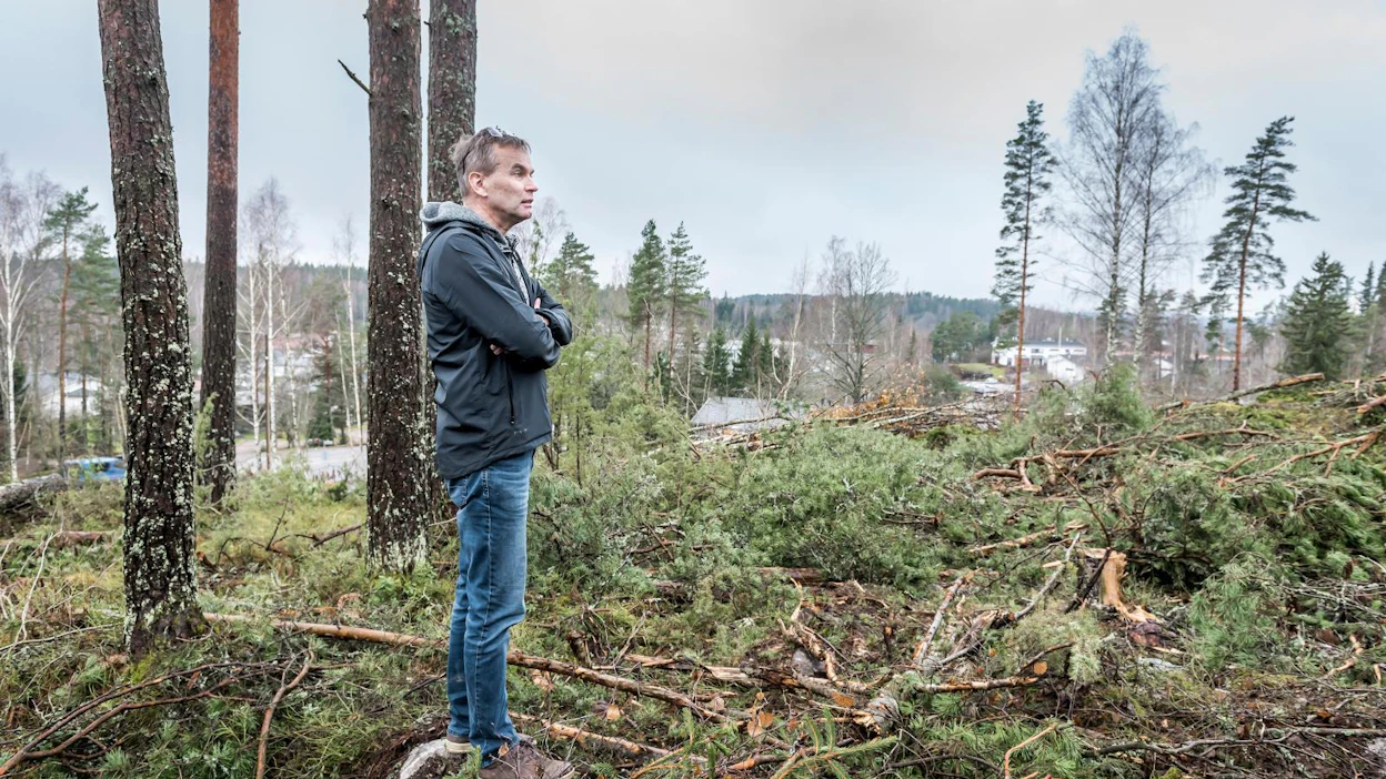 Metsäneuvoja Jukka-Pekka Vapaniemi tarkasteli maisematyölupaa vaatineen hakkuun jälkeä Klaukkalassa Nurmijärvellä viime viikolla.