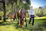 4-vuotiaana 13,7 ennätyksekseen juosseen Katie Alen (Muscles Yankee – Ripley – Ride The Night) toinen varsa Ranger Ale on Googoo Gaagaasta, ja tamma astutetaan uudelleen samalla orilla. Antti Lehtisalo, Katie ja Ranger kuvattiin Paula Stenbergillä Hämeenkoskella.