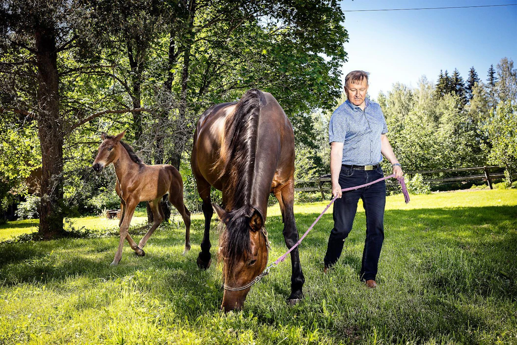 4-vuotiaana 13,7 ennätyksekseen juosseen Katie Alen (Muscles Yankee – Ripley – Ride The Night) toinen varsa Ranger Ale on Googoo Gaagaasta, ja tamma astutetaan uudelleen samalla orilla. Antti Lehtisalo, Katie ja Ranger kuvattiin Paula Stenbergillä Hämeenkoskella.