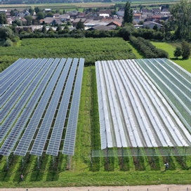 Bonnin lähellä Gelsdorfissa aurinkopaneelit tuottavat sähköä omenatarhojen päällä.