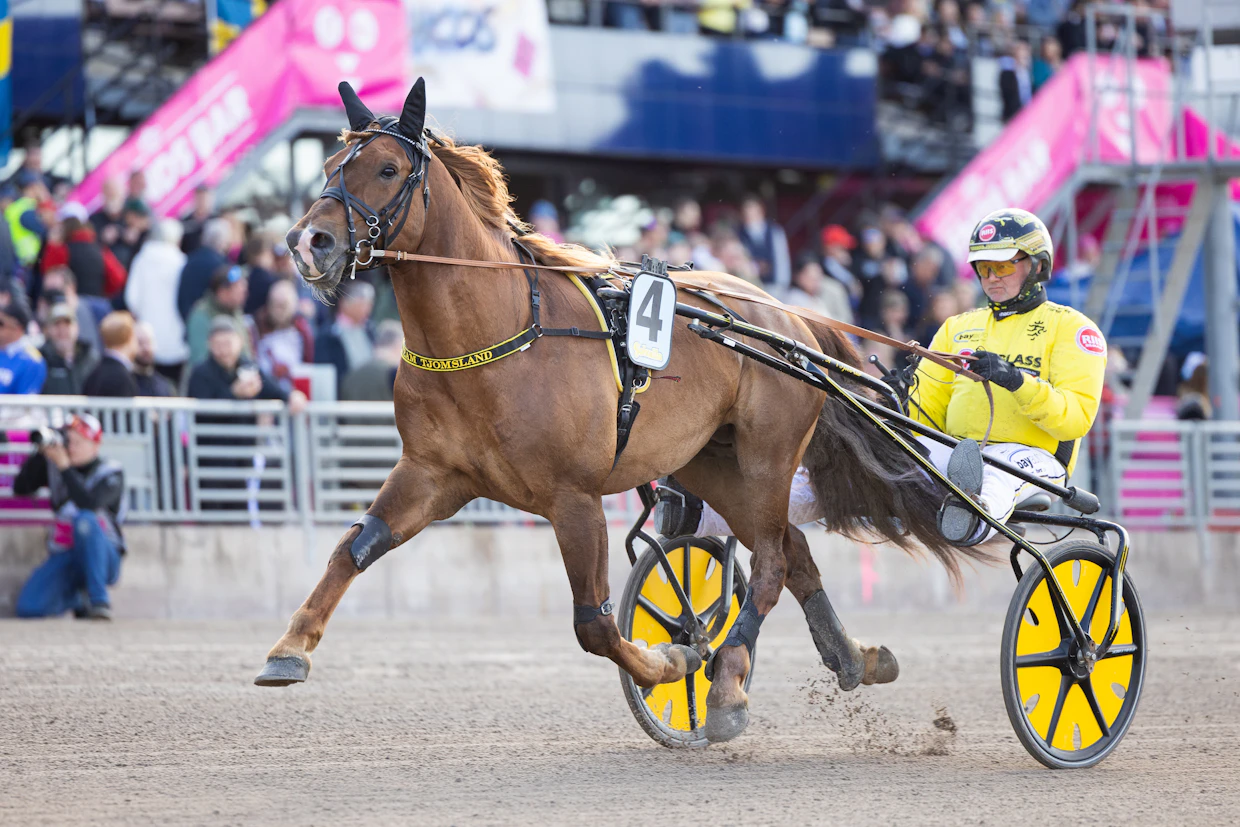 Weikko avasi viime vuonna viisivuotiskautensa Elitloppet-lauantaina Öystein Tjomslandin ohjastamana. Ori sijoittui toiseksi laukan jälkeen kovalla tuloksella 22,1a. Tulos alitti voimassa olevan SE-tuloksen sekunnilla, mutta SE-tuloksiksi hyväksytään vain voittoajat.