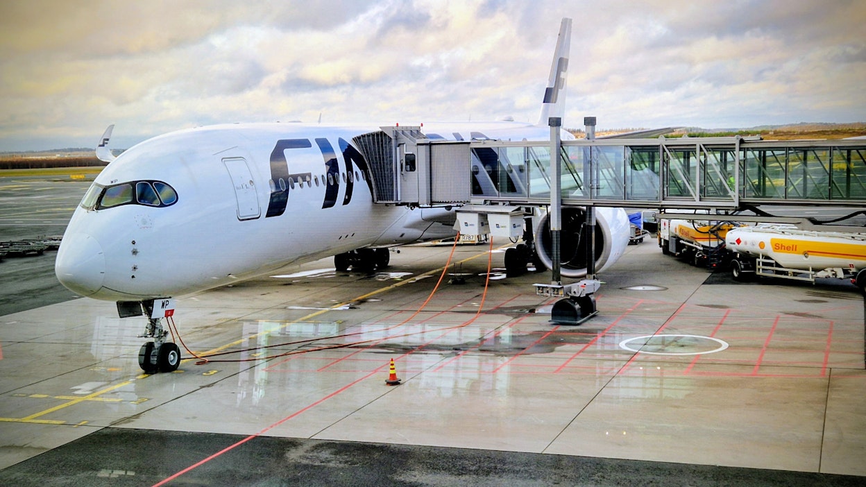 Lemmikkieläinten siirtojen edellytyksistä säädetään EU-lainsäädännössä.