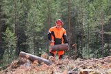 Lenkous ja muut viat kerryttävät tukin hukkapätkien määrää. Läheltä tietä lumpit saa melko vähällä vaivalla auton peräkärryyn.