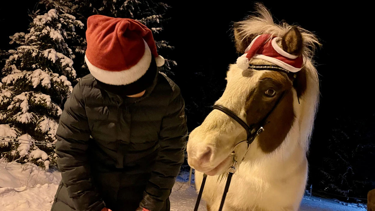 Kiireetön kohtaaminen ilahduttaa ympäri vuoden. Kuvituskuvan yksilöiden kohtaamiset ovat tiheitä ja aitoja.