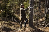 Näin suuria alkuperäiset lehtikuuset jo olisivat, metsänomistaja Kalle Korhonen mittaa.
