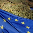 EU:n metsäkatoasetuksen toimeenpano aloitetaan vasta vuoden 2026 lopussa.