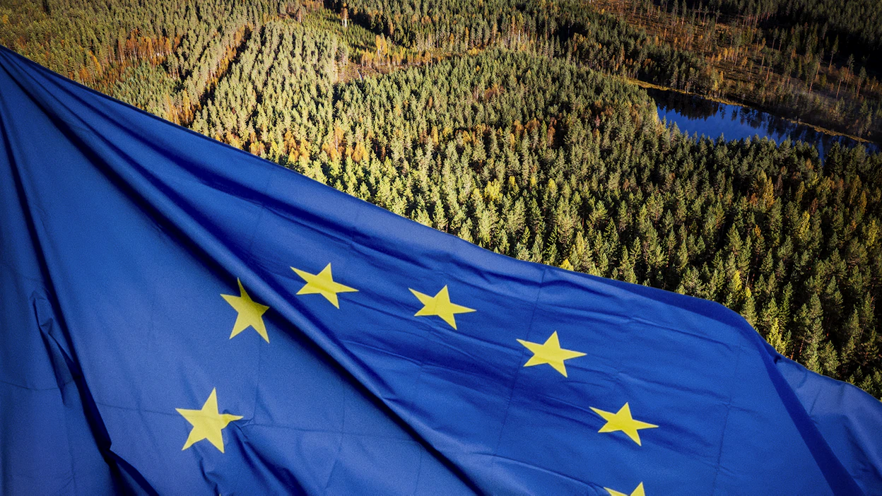 EU:n metsäkatoasetuksen toimeenpano aloitetaan vasta vuoden 2026 lopussa.