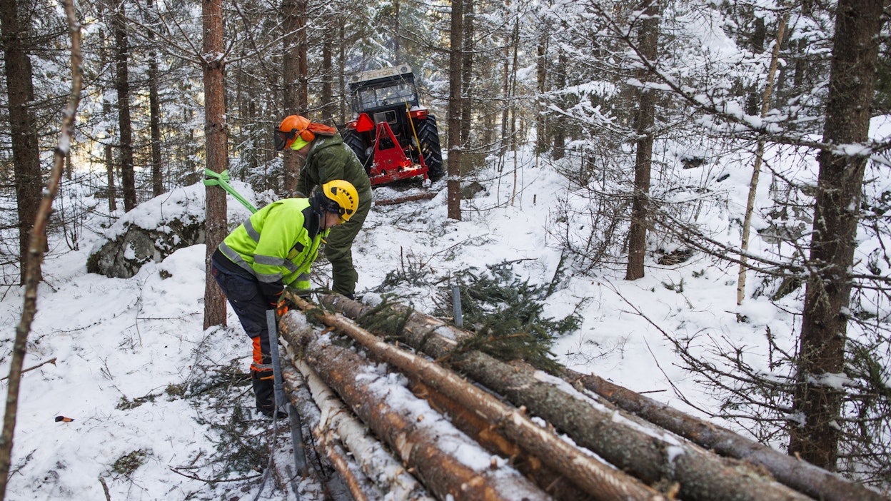 Kun kapealle ajouralle ei lumepuutteen vuoksi ollut moottorikelkalla menemistä, päättivät Esa Kautto ja metsän omistaja vetää kelkan rekeä traktorivinssillä.