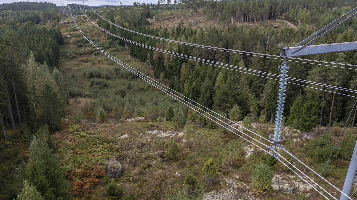 Sähkölinjaa metsäalueella. Kuvituskuva.
