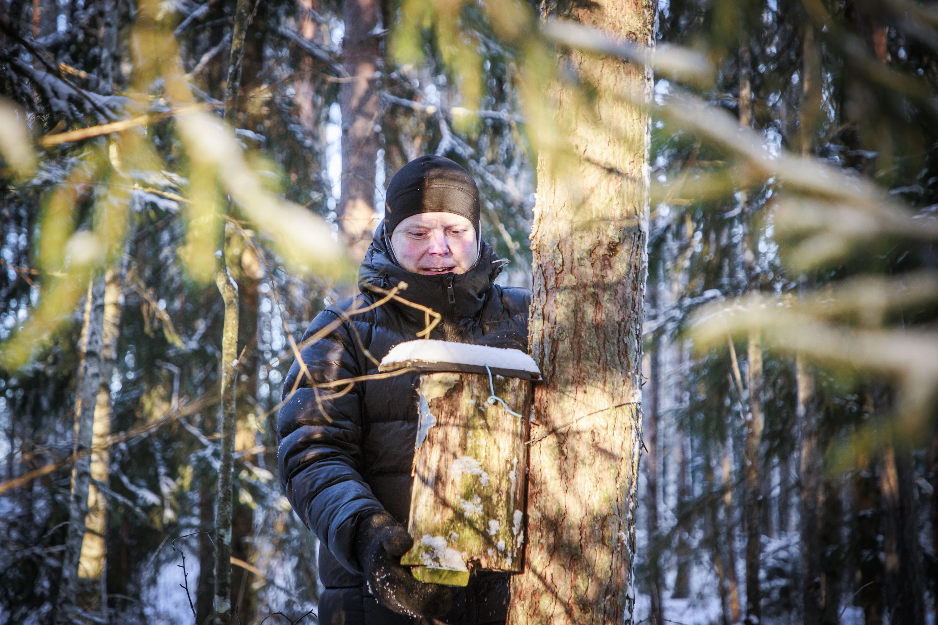 Mikko Hannonen on ripustanut omiin metsiinsä noin 130 linnunpönttöä.