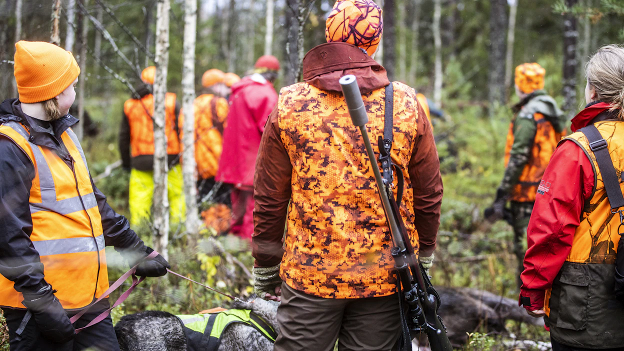 Oranssia väriä alkaa taas näkyä teiden varsilla. Kaasujalkaa kannattaa metsästysalueella höllätä.