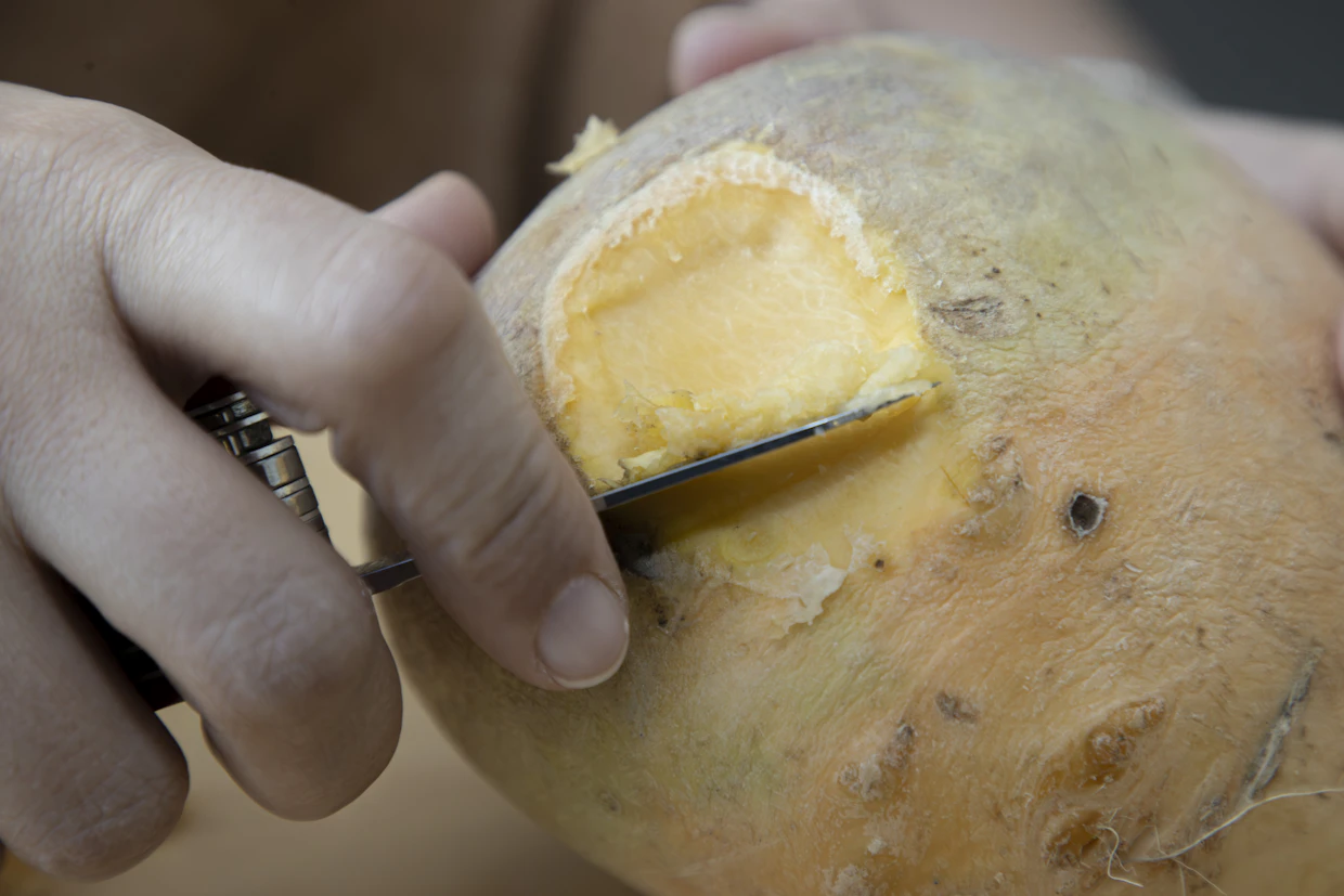 Lanttu on melkoinen C-vitamiinipommi. Norjalaiset keksivät kutsua sitä toisen maailmansodan aikaan Pohjolan appelsiiniksi. Kuvituskuva.