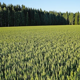 EU:n maaperädirektiivi tulee ohjaamaan myös Suomen maaperän kuntoseurantaa.