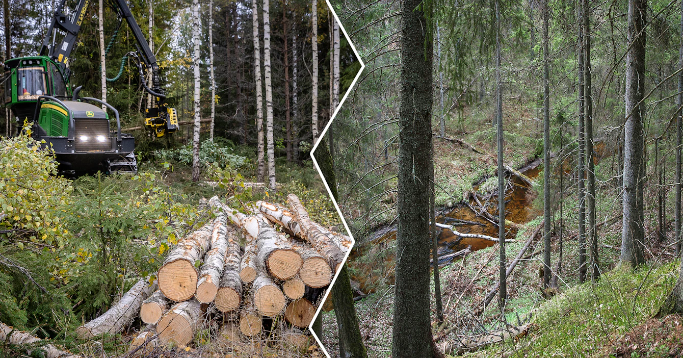 Uhanalaisia luontotyyppejä voi olla myös talousmetsässä, eivätkä ne tarkoita, että koko metsä pitäisi suojella. Toisaalta osa metsänomistajista voi hakata metsää varmuuden vuoksi, jos arvelee oman metsän tulevan myöhemmin suojelun piiriin.