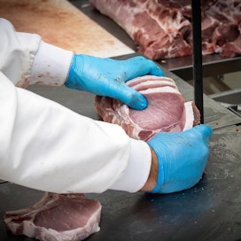 Pahan hajun voi huomata vasta lihaa kuumennettaessa, joten karjunhajuista raakaa lihaa kyetä rutiininomaisesti tunnistamaan etukäteen.